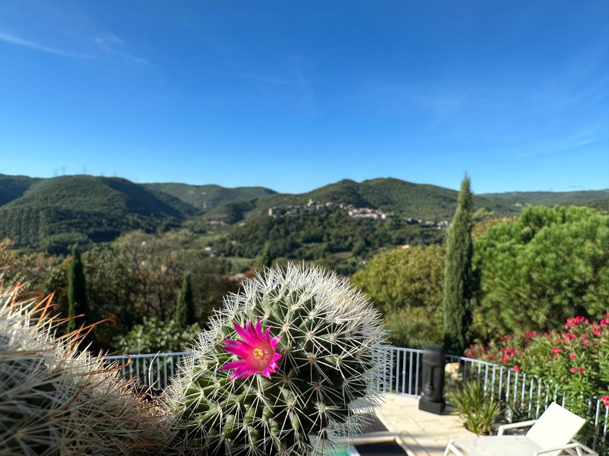 Bastide Saint-Thome Exterior photo